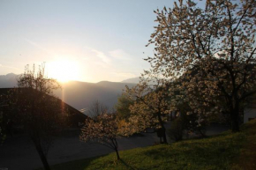Eichernhof Apartment Apfelblüte